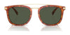 Coach CL913 HC8382 Sunglasses | Size 53 / Honey Tortoise / Brown Solid (3N 15.3%) №504573