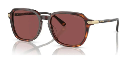 Coach CL912 HC8383U Sunglasses Dark Tortoise / Caramel Tortoise / Violet