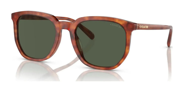 Coach CL911 HC8384U Sunglasses | Size 55 / Caramel Tortoise / Green (2N 19.2%) №577482