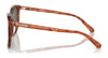 Coach CL911 HC8384U Sunglasses | Size 55 / Caramel Tortoise / Green (2N 19.2%) №577482