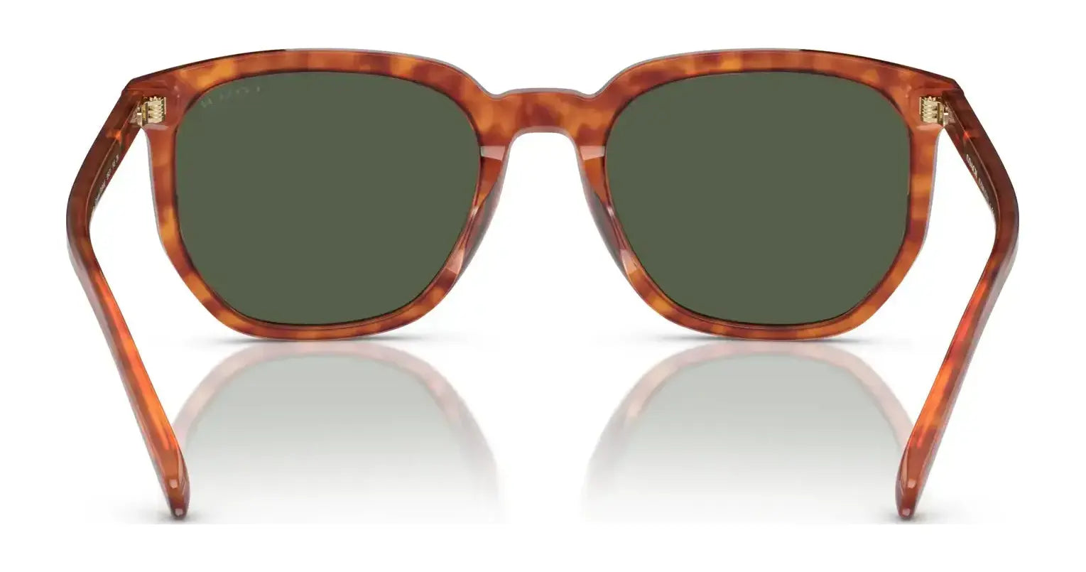 Coach CL911 HC8384U Sunglasses | Size 55