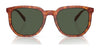 Coach CL911 HC8384U Sunglasses | Size 55 / Caramel Tortoise / Green (2N 19.2%) №577482