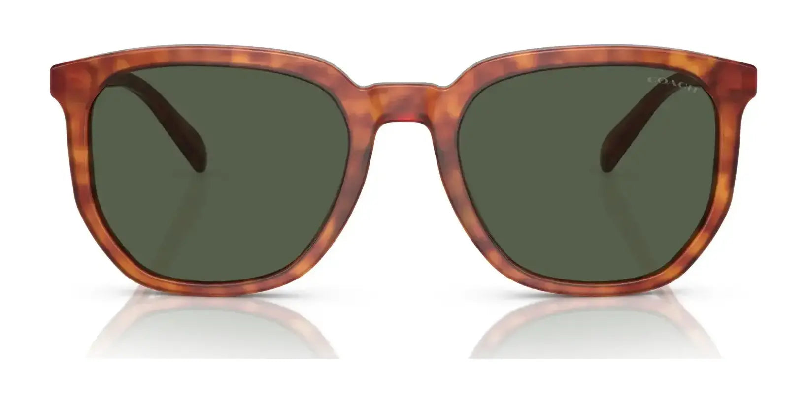 Coach CL911 HC8384U Sunglasses | Size 55