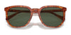 Coach CL911 HC8384U Sunglasses | Size 55 / Caramel Tortoise / Green (2N 19.2%) №577482
