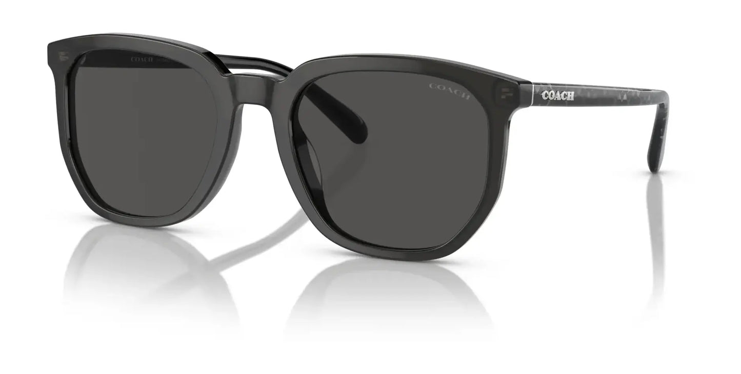 Coach CL911 HC8384U Sunglasses Transparent Dark Grey / Grey Solid