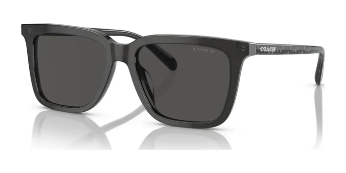 Coach CL910 HC8385U Sunglasses | Size 54 / Transparent Dark Grey / Grey Solid (3N 10%) №579387