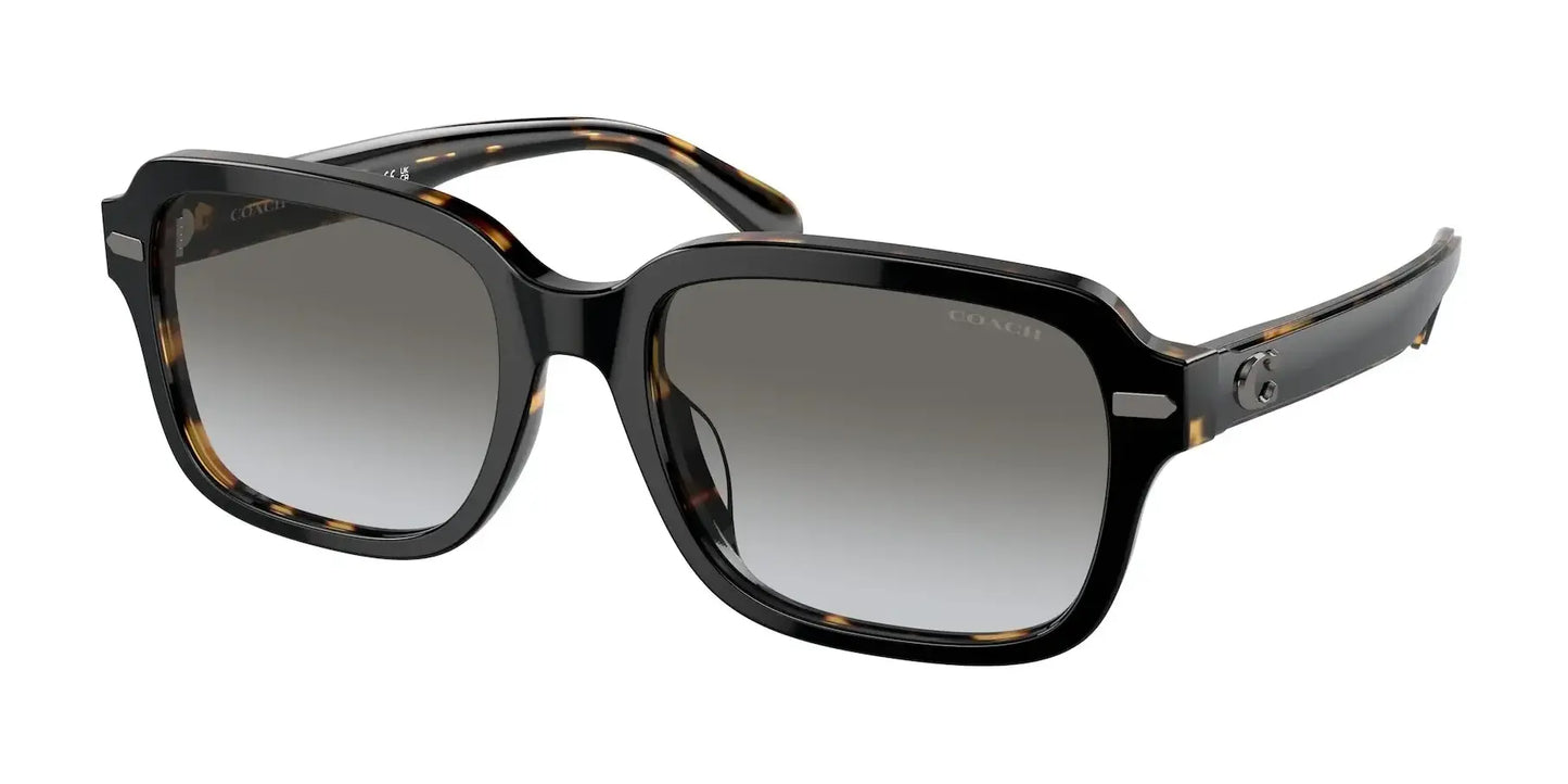 Coach CL914 HC8388U Sunglasses Black / Dark Tortoise / Grey