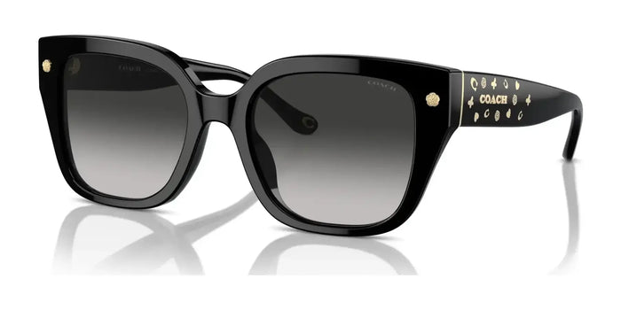 Coach CR611 HC8392U Sunglasses | Size 53 / Black / Grey Gradient (3N 13.2%) №50023C