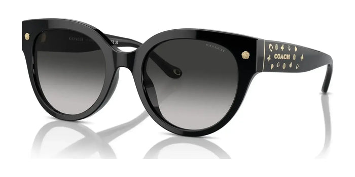 Coach CR612 HC8393U Sunglasses | Size 53 / Black / Grey Gradient (3N 13.2%) №50023C