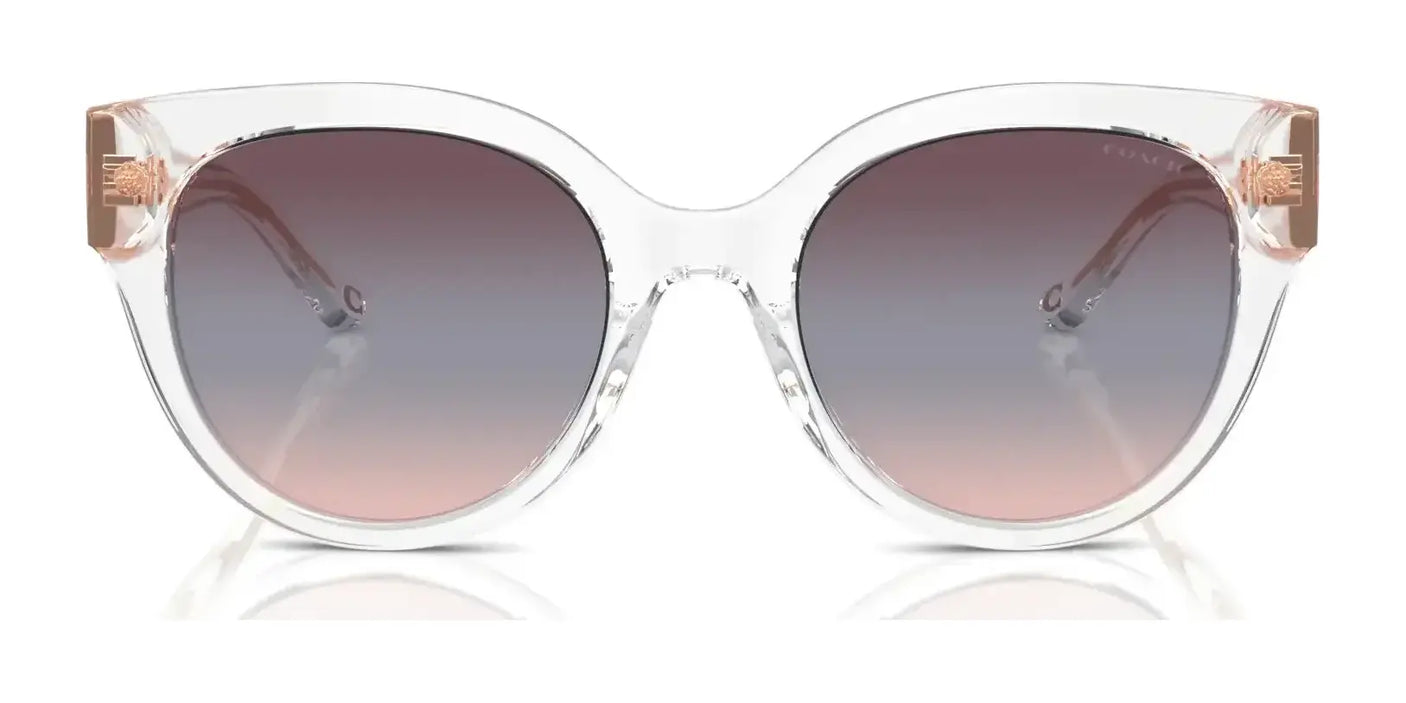 Coach CR612 HC8393U Sunglasses | Size 53