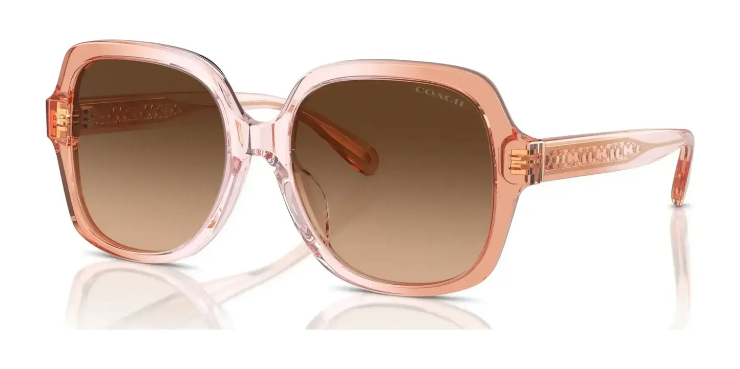 Coach CR962 HC8395F Sunglasses Saddle / Dusty Rose Gradient / Brown Gradient