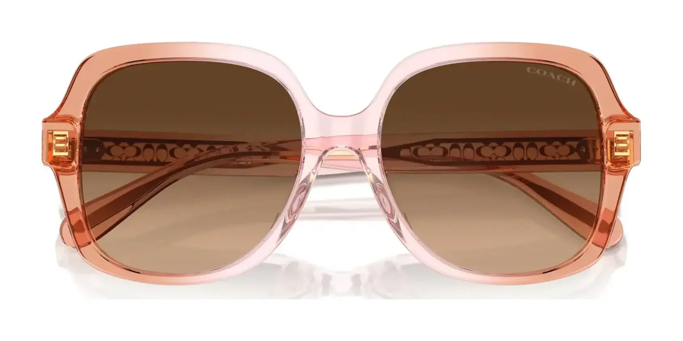 Coach CR962 HC8395F Sunglasses | Size 56