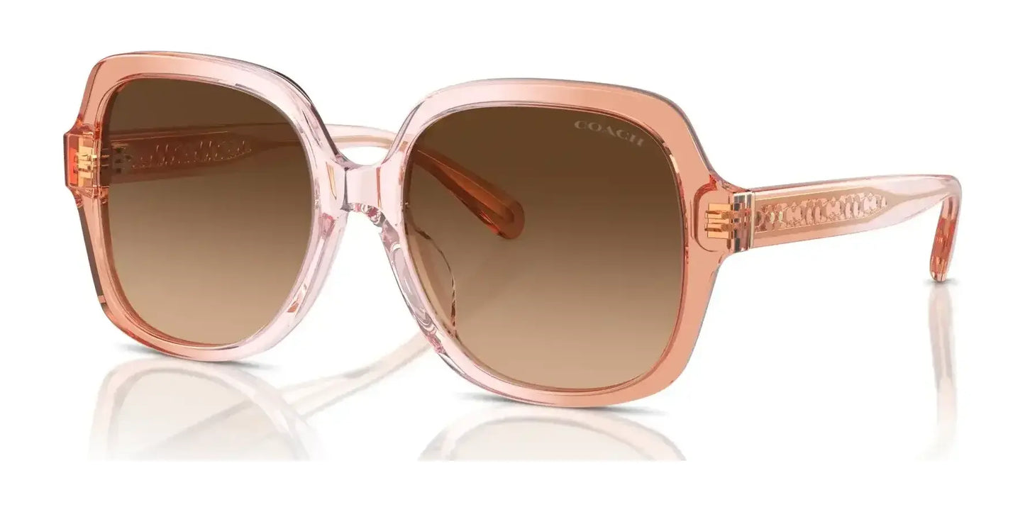 Coach CR614 HC8395U Sunglasses Saddle / Dusty Rose Gradient / Brown Gradient