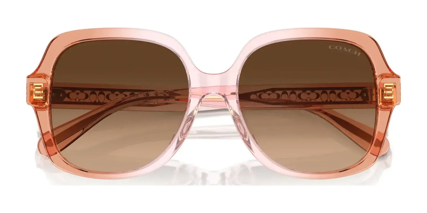 Coach CR614 HC8395U Sunglasses | Size 54