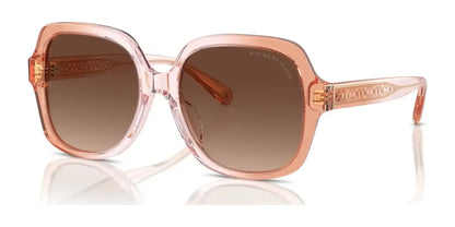 Coach CR614 HC8395U Sunglasses Saddle / Dusty Rose Gradient / Brown Gradient Polarized