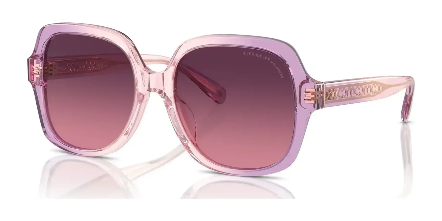 Coach CR614 HC8395U Sunglasses Amethyst / Pink Gradient / Burgundy Gradient Polar