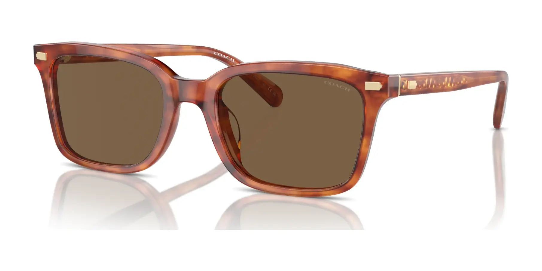 Coach CR630 HC8398U Sunglasses Caramel Tortoise / Brown Solid