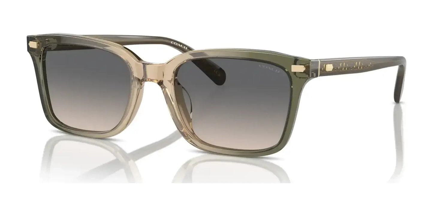 Coach CR630 HC8398U Sunglasses Olive Tan Gradient / Green Sand