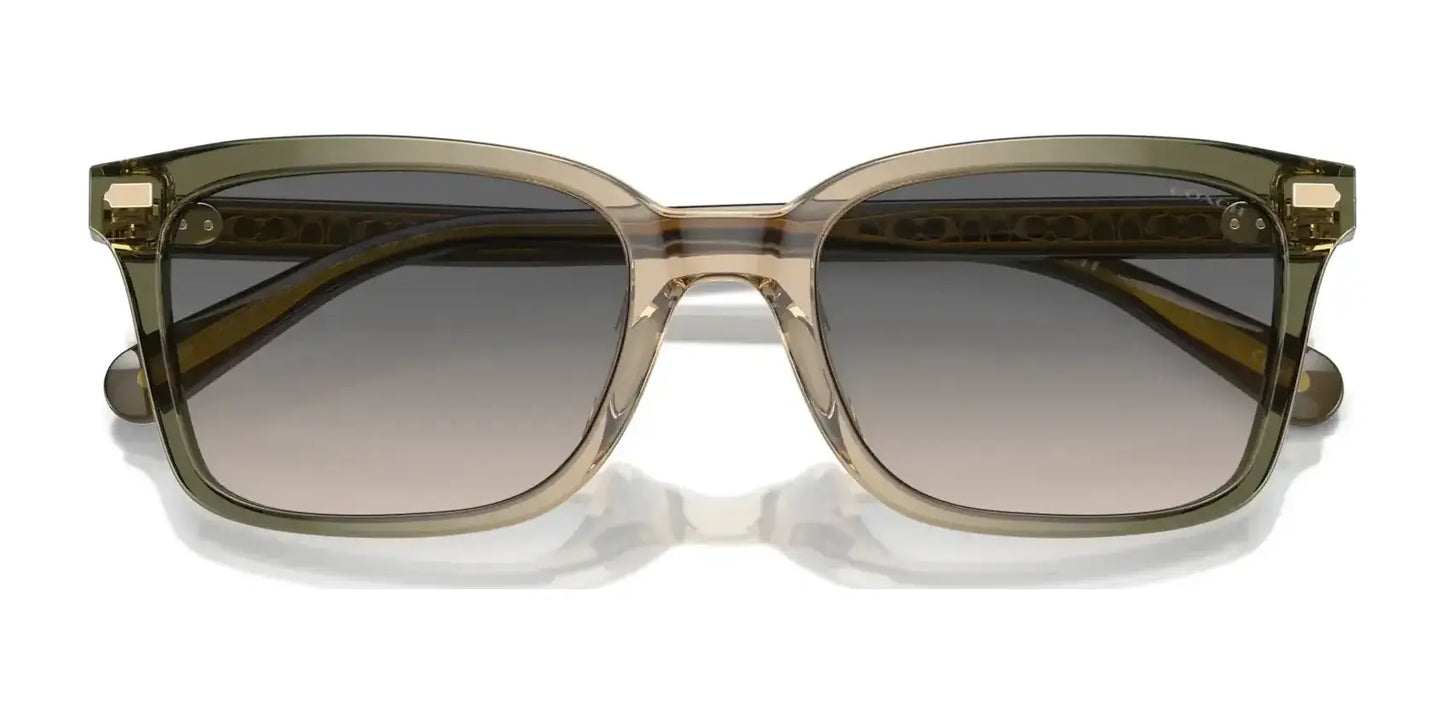 Coach CR630 HC8398U Sunglasses | Size 54