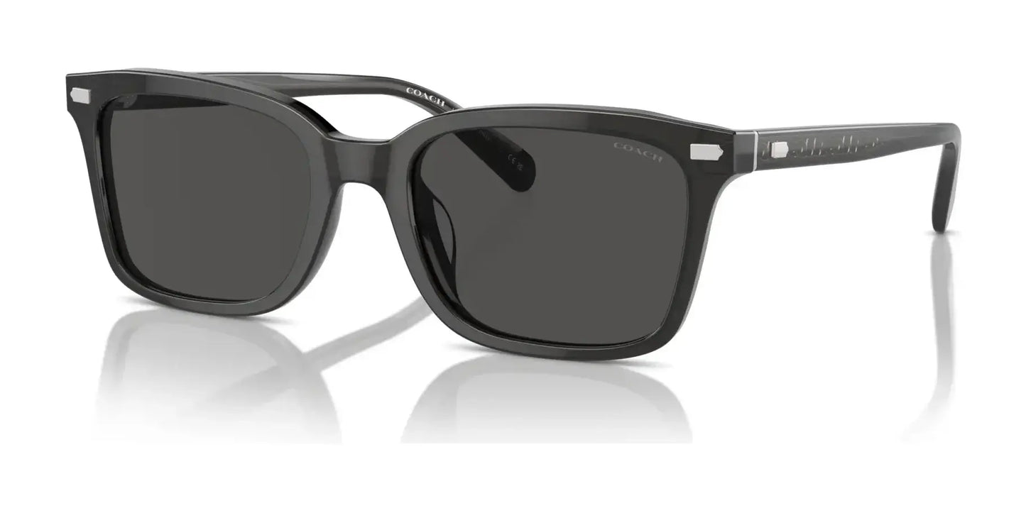 Coach CR630 HC8398U Sunglasses Transparent Dark Grey / Grey Solid