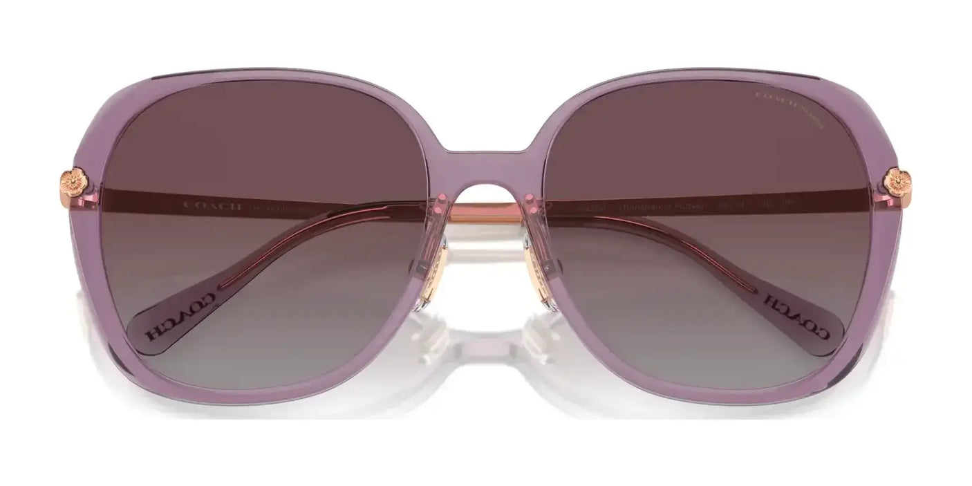 Coach CR636 HC8403D Sunglasses | Size 59