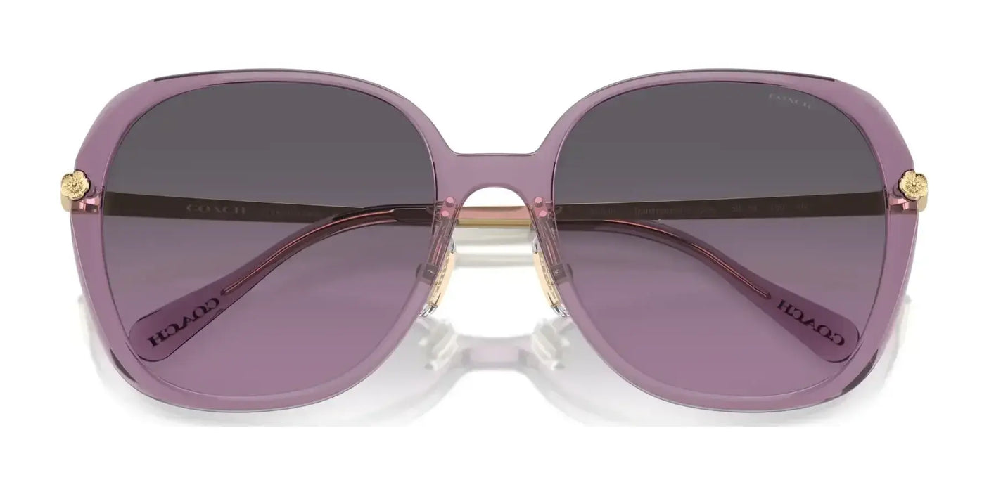 Coach CR636 HC8403D Sunglasses | Size 59