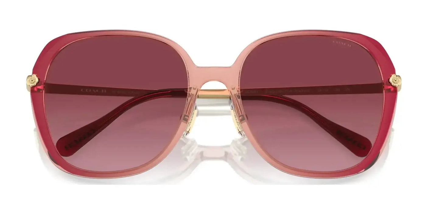 Coach CR636 HC8403D Sunglasses | Size 59