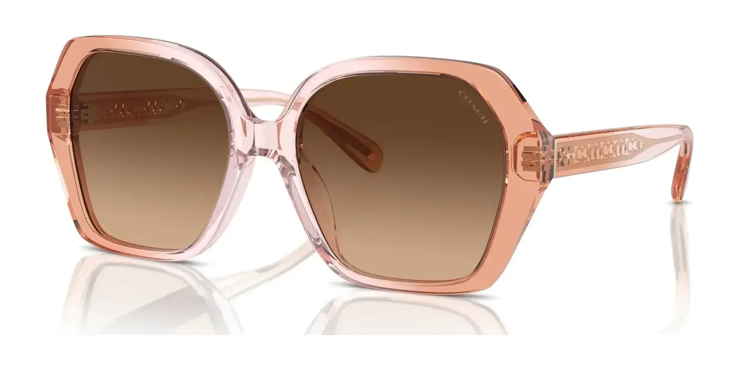 Coach CR615 HC8404U Sunglasses Saddle / Dusty Rose Gradient / Brown Gradient