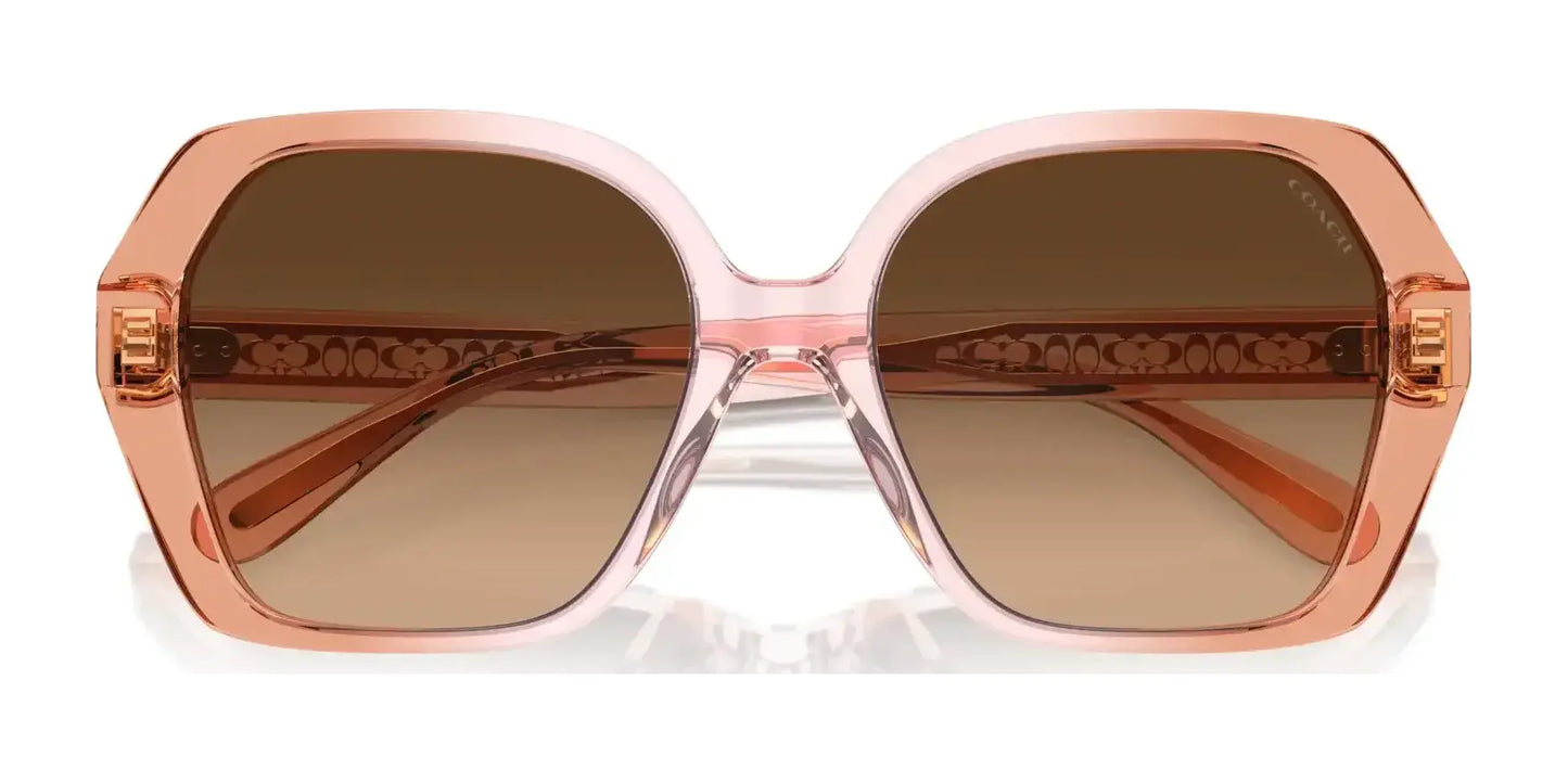 Coach CR615 HC8404U Sunglasses | Size 56