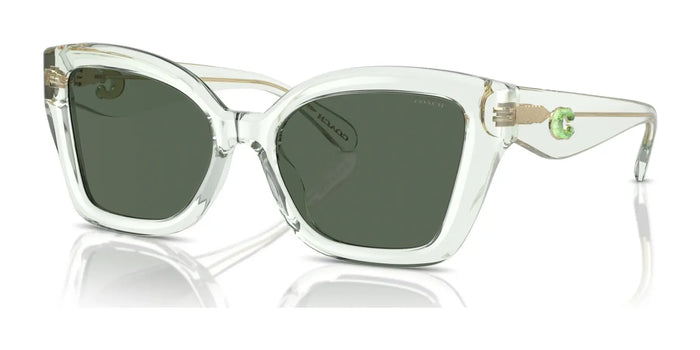 Coach CS544 HC8405U Sunglasses | Size 54 / Green Crystal / Green Solid (3N 14.0%) №583271
