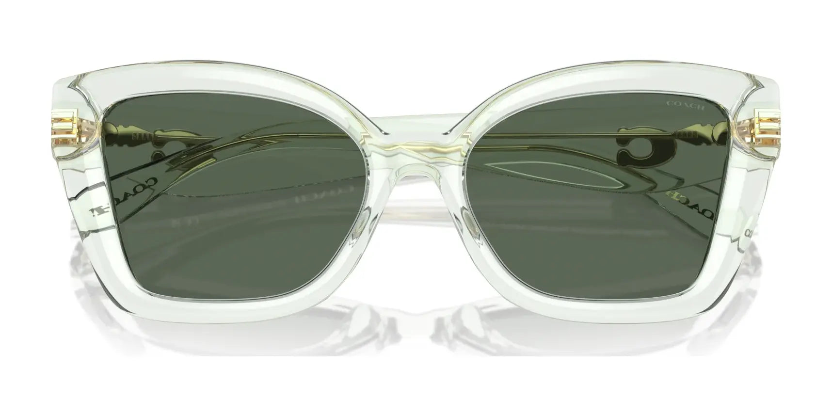 Coach CS544 HC8405U Sunglasses | Size 54