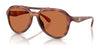Coach CW183 HC8406U Sunglasses | Size 55 / Caramel Tortoise / Brown Solid (2N 20.8%) №577473