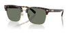 Coach CW406 HC8412 Sunglasses | Size 56 / Light Gold/Dark Tortoise / Green Solid (3N 14.0%) №51203H