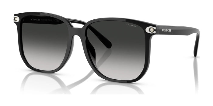 Coach CW419 HC8413BD Sunglasses | Size 58 / Black / Grey Gradient (3N 14.8%) №50023C