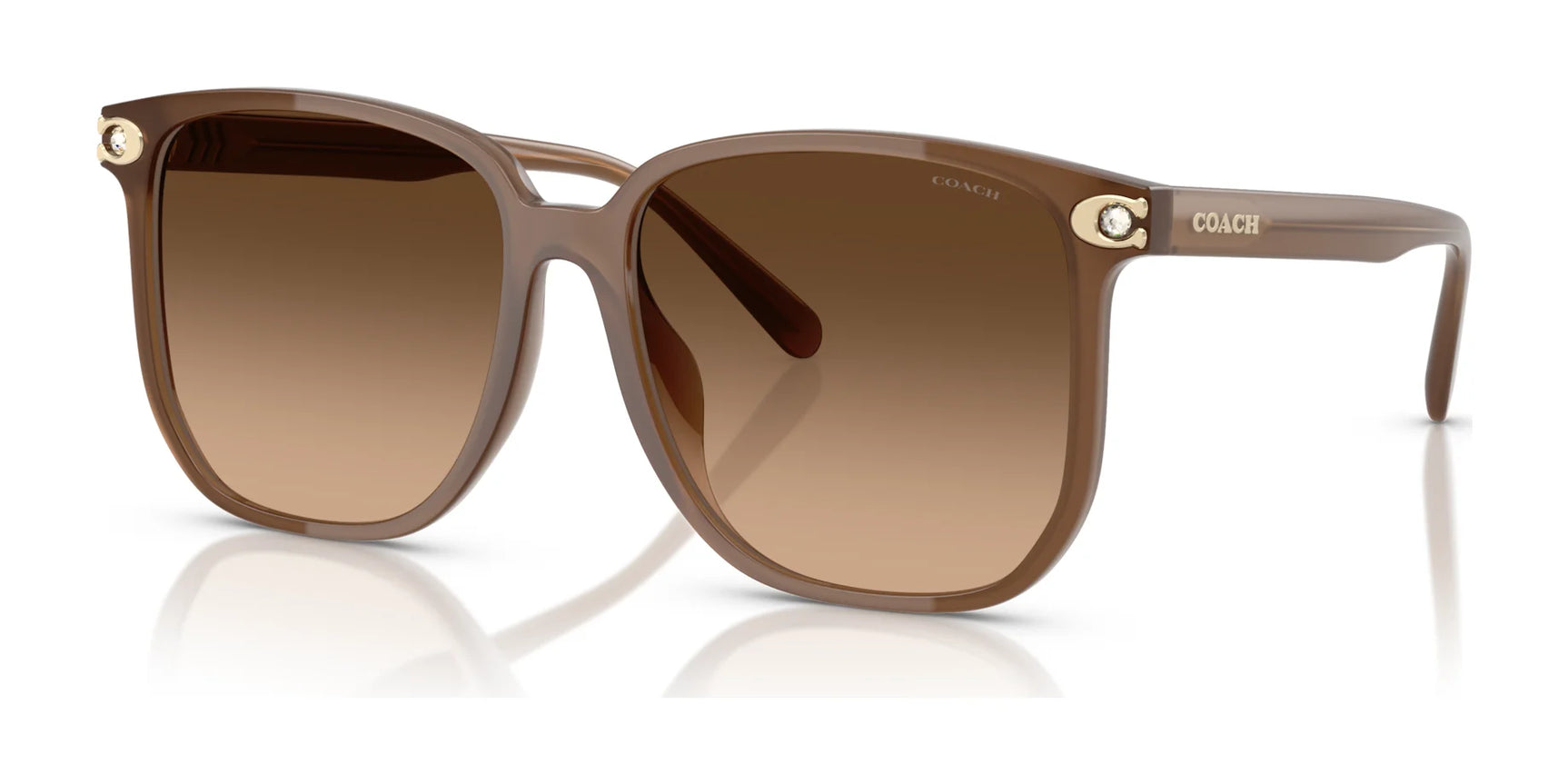 Coach CW419 HC8413BD Sunglasses | Size 58