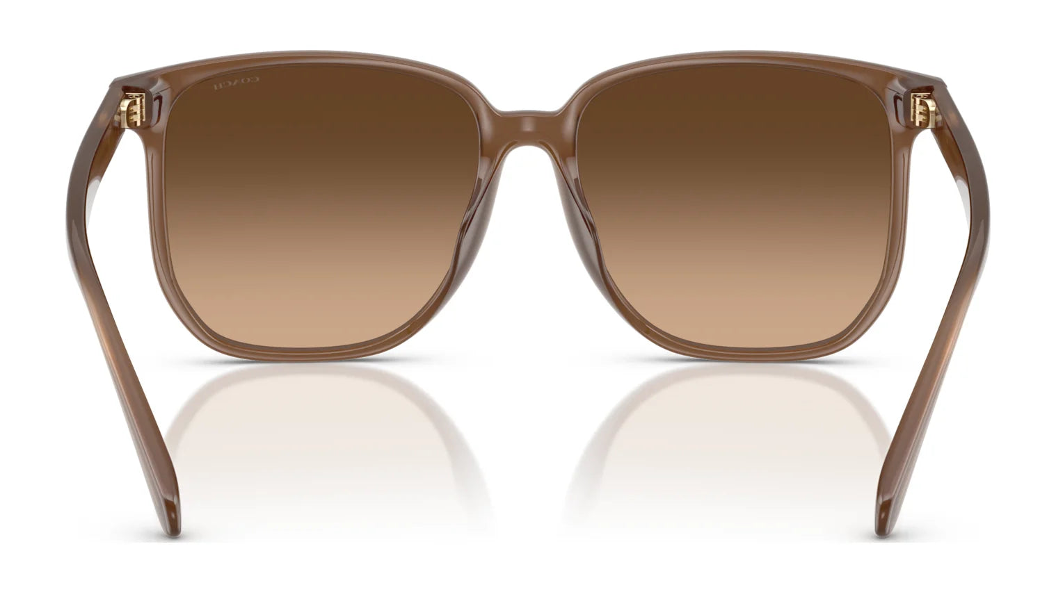 Coach CW419 HC8413BD Sunglasses | Size 58