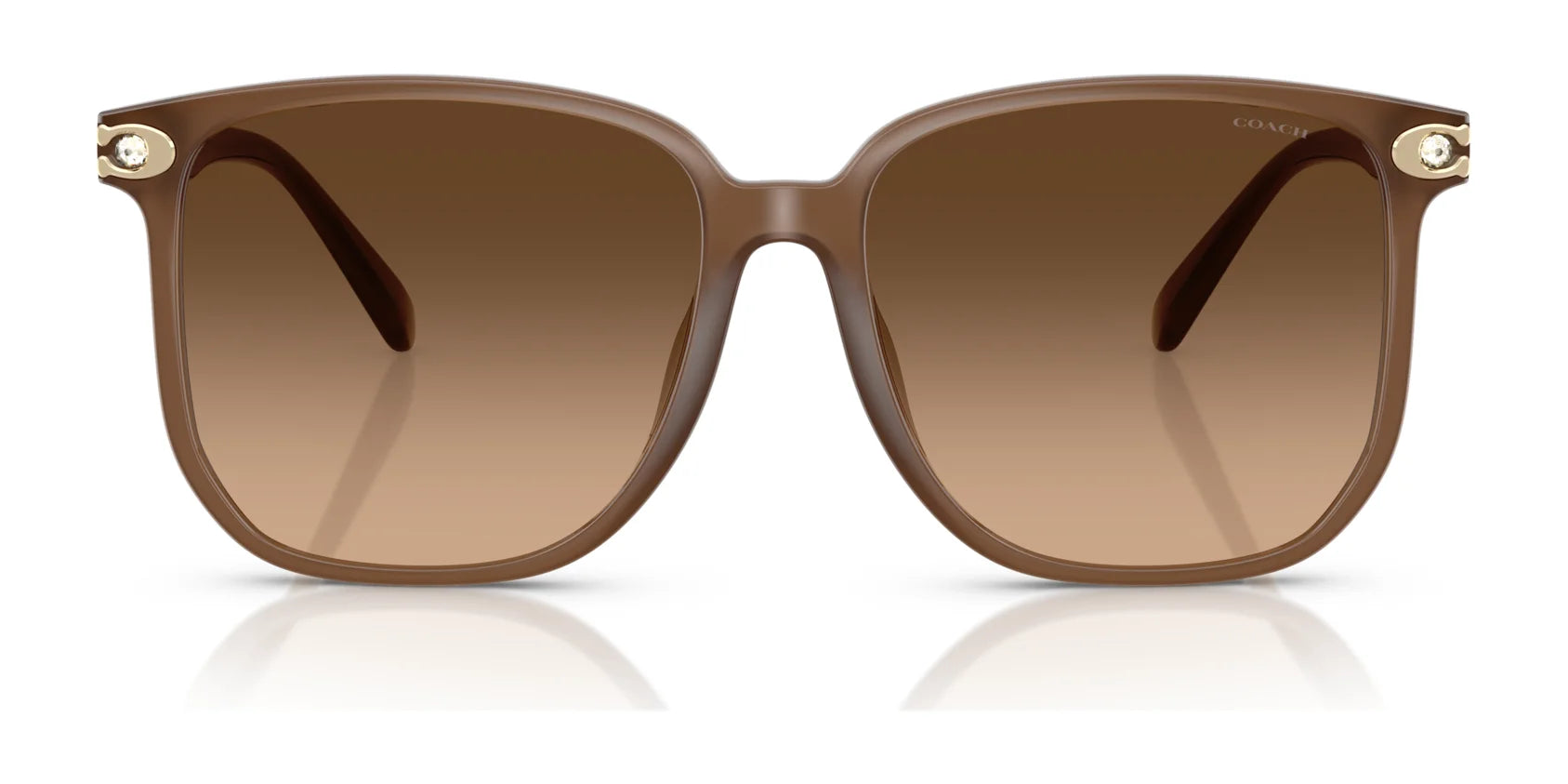Coach CW419 HC8413BD Sunglasses | Size 58
