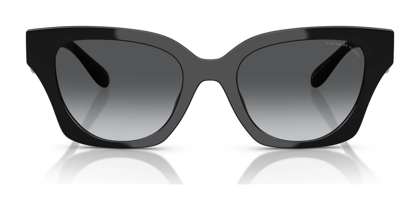 Coach CAD18 HC8418U Sunglasses | Size 53