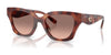 Coach CAD18 HC8418U Sunglasses | Size 53 / Caramel Tortoise / Brown Pink Gradient (2N 32.7%) №577413