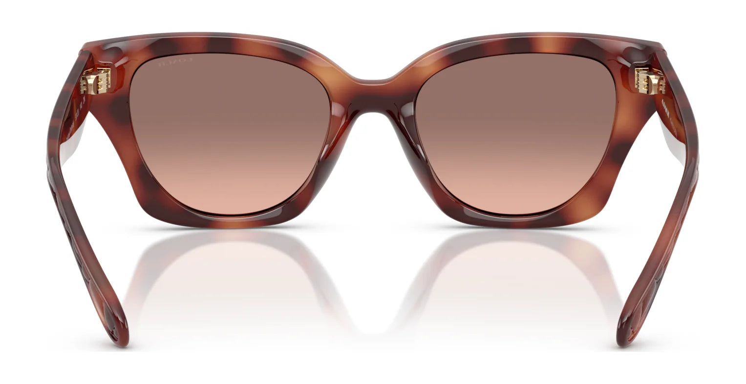 Coach CAD18 HC8418U Sunglasses | Size 53