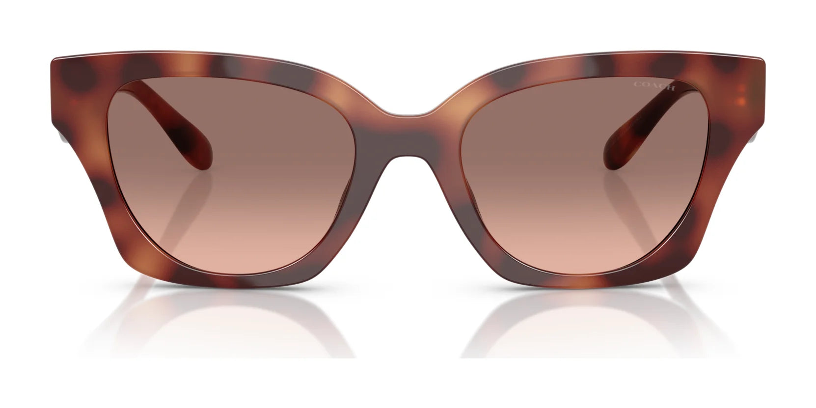 Coach CAD18 HC8418U Sunglasses | Size 53