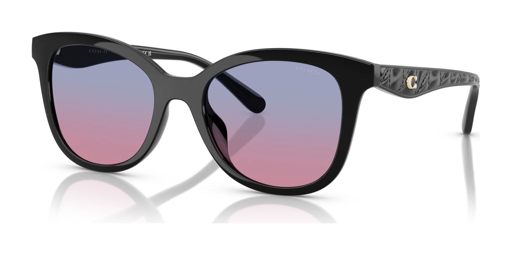 Coach CAD25 HC8419U Sunglasses Black / Blue Purple Gradient