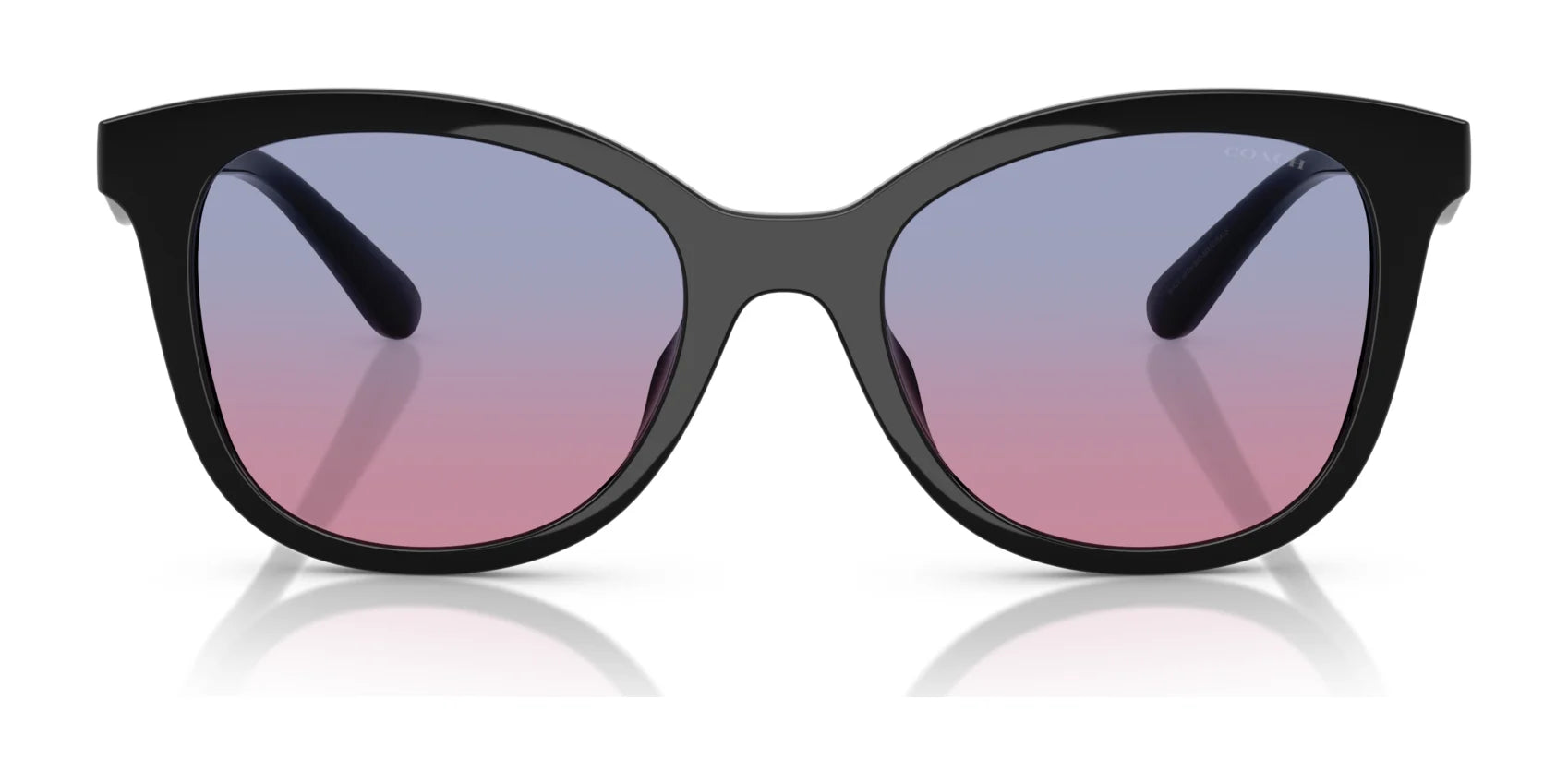 Coach CAD25 HC8419U Sunglasses | Size 55