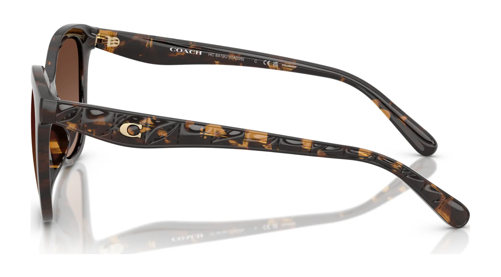Coach CAD25 HC8419U Sunglasses | Size 55