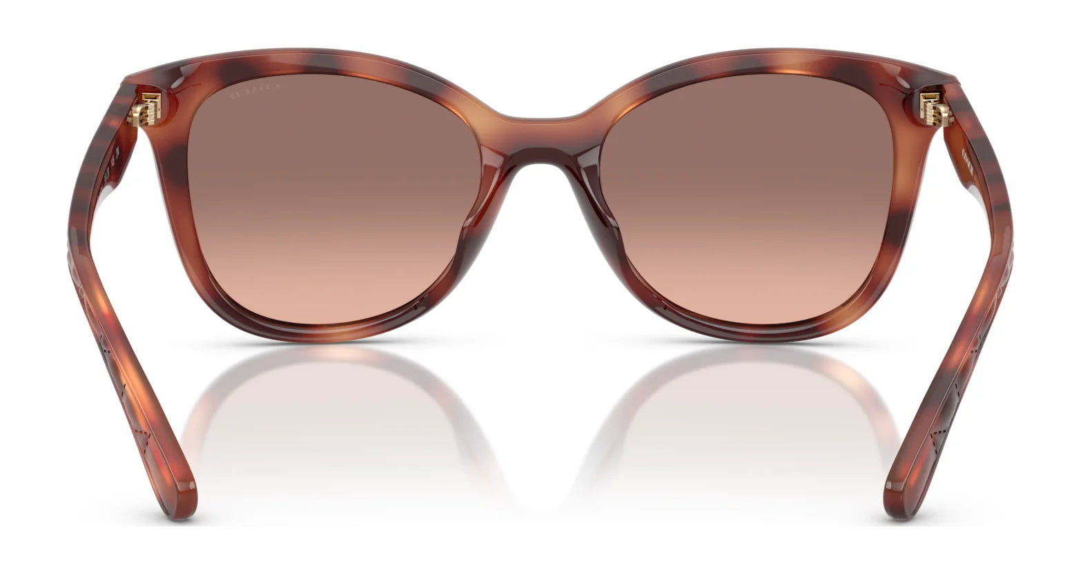 Coach CAD25 HC8419U Sunglasses | Size 55