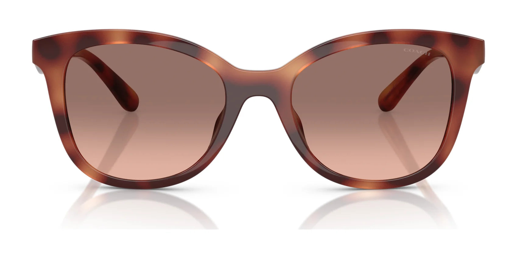 Coach CAD25 HC8419U Sunglasses | Size 55