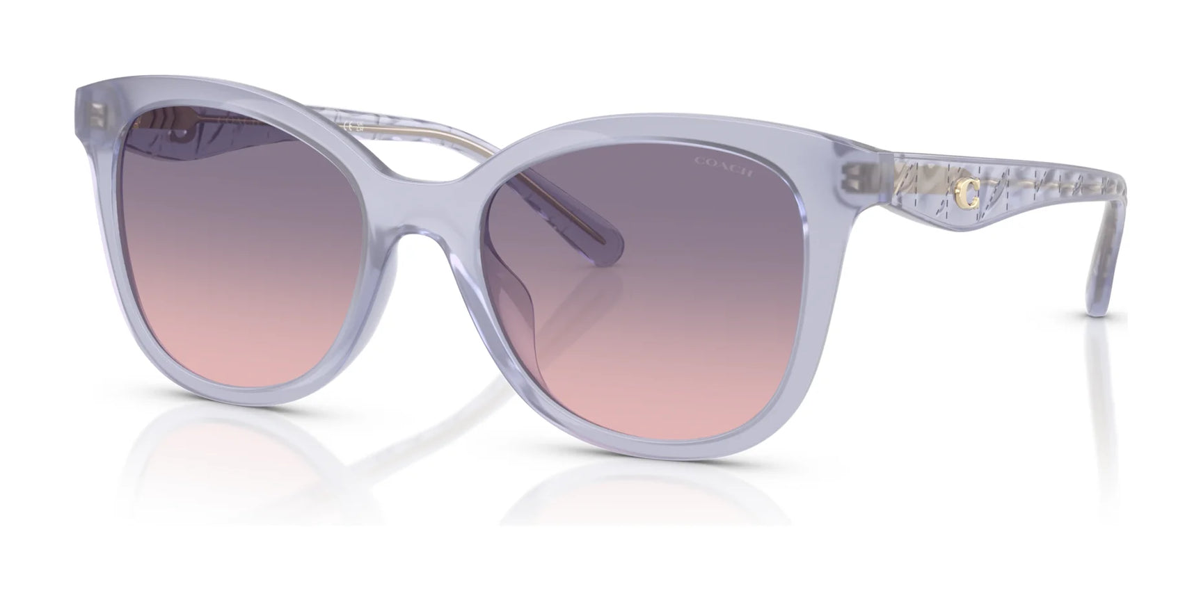 Coach CAD25 HC8419U Sunglasses | Size 55