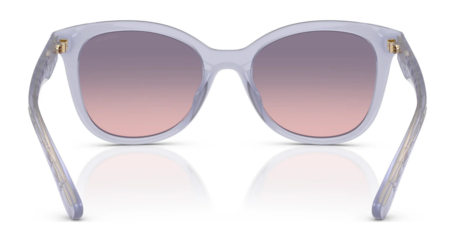 Coach CAD25 HC8419U Sunglasses | Size 55