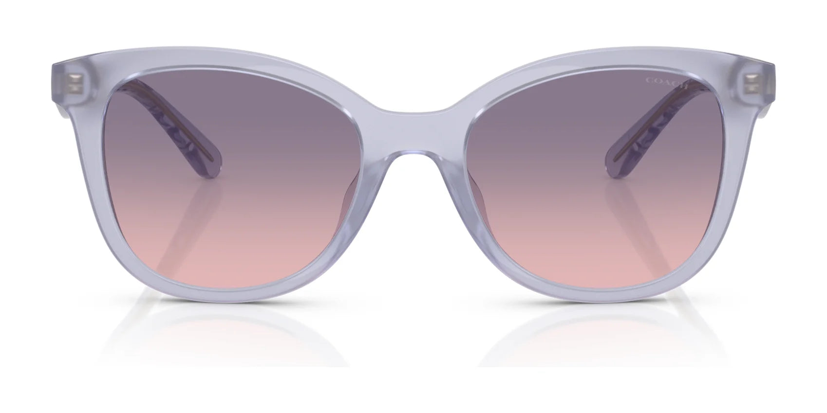 Coach CAD25 HC8419U Sunglasses | Size 55