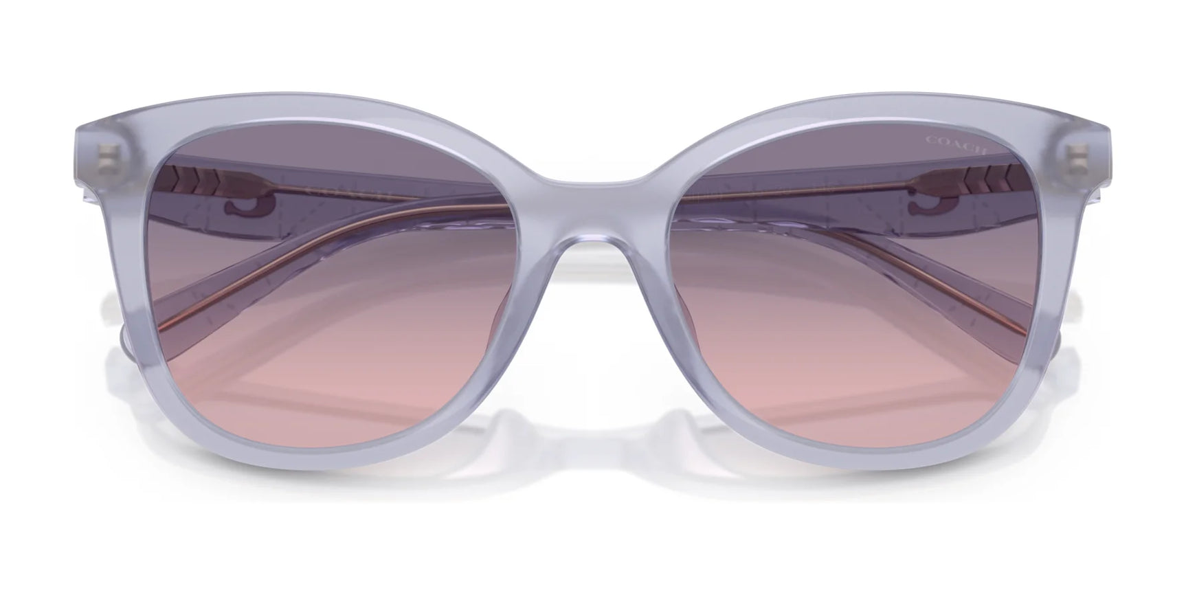 Coach CAD25 HC8419U Sunglasses | Size 55